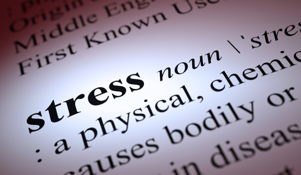 Budget Stress: Where Delinquencies Hit First.
