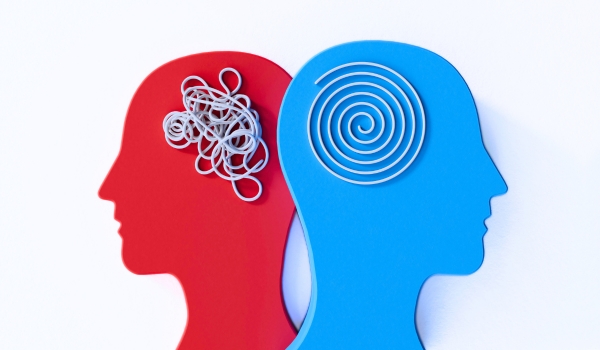 Why Credit Reporting Changes Behavior Fast